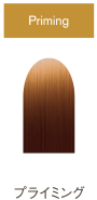 プライミング