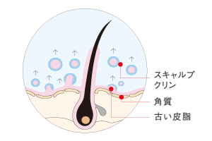 頭皮清潔