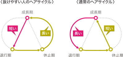 着目したのは脱毛や成長のシグナル。乱れのない健やかなヘアサイクルへ整えます。