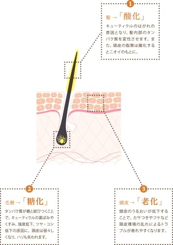 抗衰老