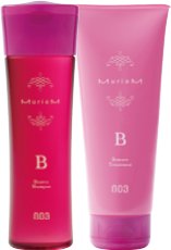 Mulium Shampoo B / Treatment B