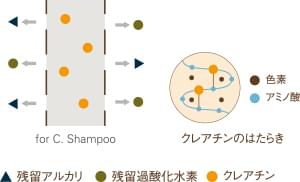 forC.のシャンプー