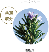 botanical wave