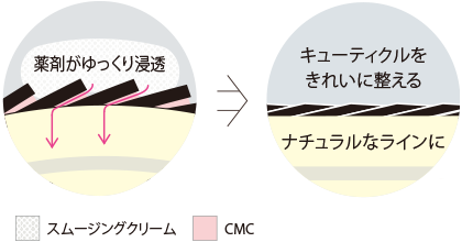 feladyca tocosme tuning